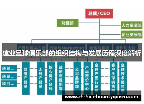 建业足球俱乐部的组织结构与发展历程深度解析