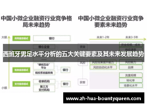 西班牙男足水平分析的五大关键要素及其未来发展趋势 西班牙男足水平分析的五大关键要素及其未来发展趋势