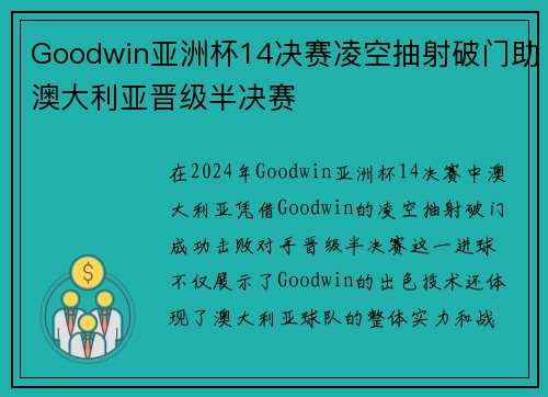 Goodwin亚洲杯14决赛凌空抽射破门助澳大利亚晋级半决赛 Goodwin亚洲杯14决赛凌空抽射破门助澳大利亚晋级半决赛